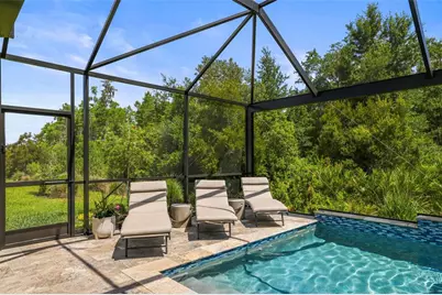 29719 Cassino Court, Wesley Chapel, FL 33543 - Photo 9