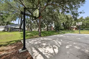1012 Morfield Ln, Brandon, FL 33511 - Photo 77