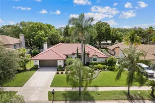 12909 Cinnimon Pl, Tampa, FL 33624 - Photo 47