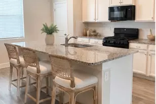 15084 Caravan Ave, Odessa, FL 33556 - Photo 1