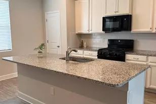 15084 Caravan Ave, Odessa, FL 33556 - Photo 9