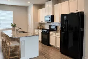 15084 Caravan Ave, Odessa, FL 33556 - Photo 5