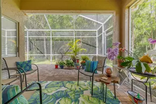 3764 Darston St, Palm Harbor, FL 34685 - Photo 13