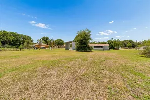 3724 Tack Dr, Wesley Chapel, FL 33543 - Photo 55