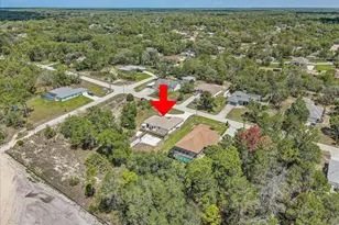 7314 Madrid Rd, Weeki Wachee, FL 34613 - Photo 51