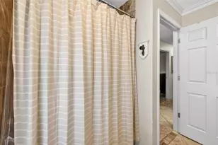 9436 Rockrose Dr, Tampa, FL 33647 - Photo 39