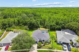 1021 Arlinbrook Dr, Trinity, FL 34655 - Photo 45