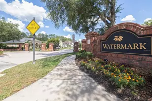 3227 Watermark Dr, Wesley Chapel, FL 33544 - Photo 51