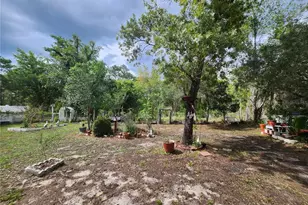 12247 Katherwood St, Spring Hill, FL 34608 - Photo 31