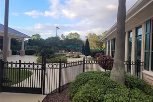 10215 Evergreen Hill Dr, Tampa, FL 33647 - Photo 47