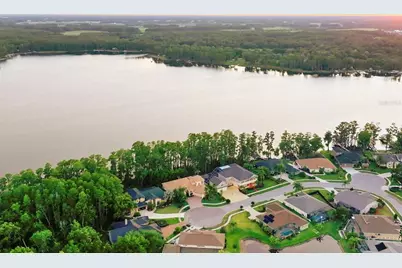 21019 Marsh Hawk Drive, Land O Lakes, FL 34638 - Photo 5