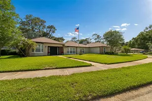 2245 Toniwood Ln, Palm Harbor, FL 34685 - Photo 73