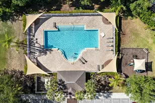 380 Rosalind Ln, Oldsmar, FL 34677 - Photo 49