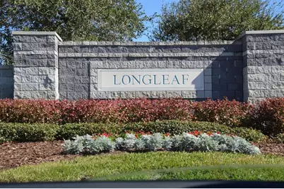30114 Emmetts Court, Wesley Chapel, FL 33543 - Photo 31