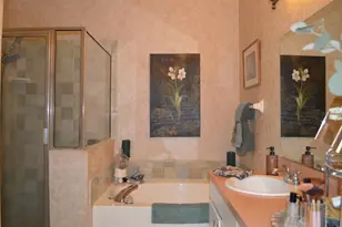 30114 Emmetts Ct, Wesley Chapel, FL 33543 - Photo 13