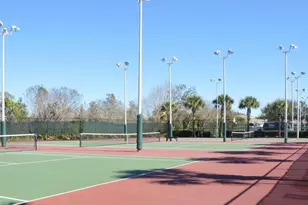 30114 Emmetts Ct, Wesley Chapel, FL 33543 - Photo 27