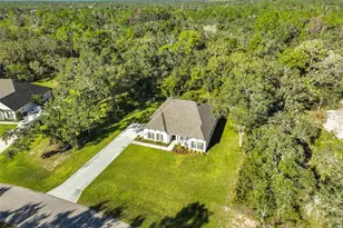 13148 Oldenburg Dr, Hudson, FL 34667 - Photo 47
