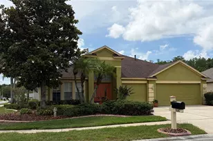 19640 Bergenfeld Dr, Land O Lakes, FL 34638 - Photo 1