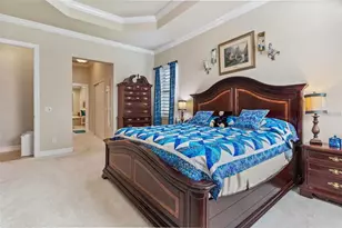 16010 Golden Lakes Drive, Wimauma, FL 33598 - Photo 13