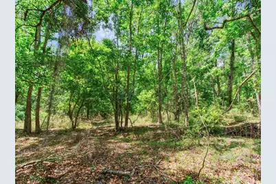 Spring Lake Highway, Brooksville, FL 34602 - Photo 39