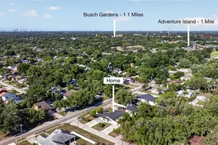 10402 N Pawnee Ave, Tampa, FL 33617 - Photo 3