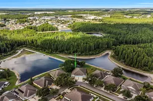 19238 Weymouth Dr, Land O Lakes, FL 34638 - Photo 45