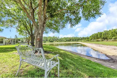 19238 Weymouth Drive, Land O Lakes, FL 34638 - Photo 25