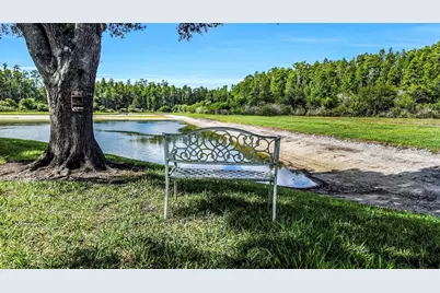 19238 Weymouth Drive, Land O Lakes, FL 34638 - Photo 49