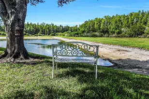 19238 Weymouth Dr, Land O Lakes, FL 34638 - Photo 49