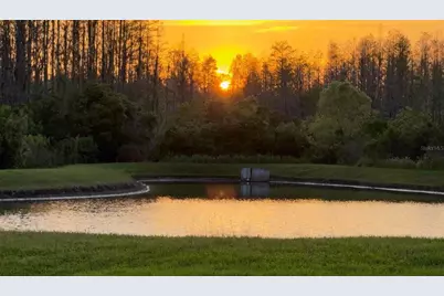 19238 Weymouth Drive, Land O Lakes, FL 34638 - Photo 3