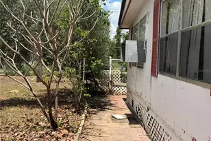 10006 Causey Pl, Thonotosassa, FL 33592 - Photo 5