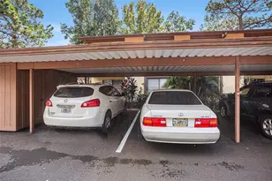 600 Summerhill Ct, Safety Harbor, FL 34695 - Photo 25