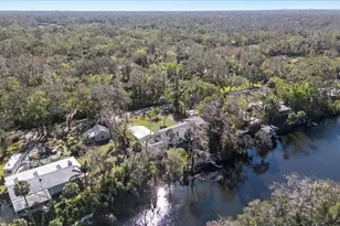7226 Alafia Ridge Loop, Riverview, FL 33569 - Photo 49