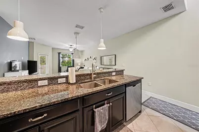 28504 Tranquil Lake Circle, Wesley Chapel, FL 33543 - Photo 11