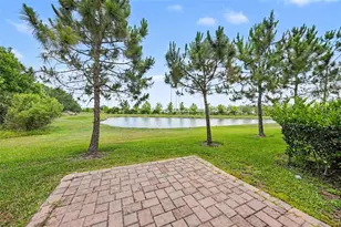 28504 Tranquil Lake Cir, Wesley Chapel, FL 33543 - Photo 3