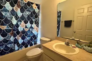 6708 Guilford Glen Pl, Apollo Beach, FL 33572 - Photo 17