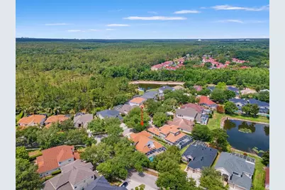 10117 Deercliff Drive, Tampa, FL 33647 - Photo 55