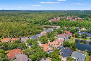 10117 Deercliff Dr, Tampa, FL 33647 - Photo 55