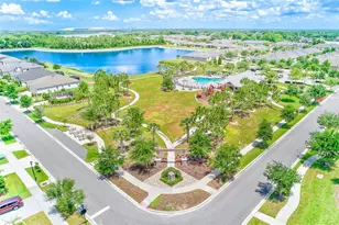 10606 Planer Picket Dr, Riverview, FL 33569 - Photo 43