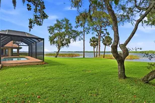 3493 Shoreline Cir, Palm Harbor, FL 34684 - Photo 53