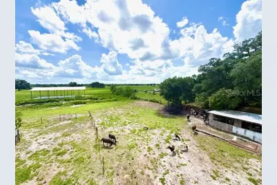 8206 Back Road, Plant City, FL 33565 - Photo 31