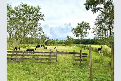 8206 Back Road, Plant City, FL 33565 - Photo 15