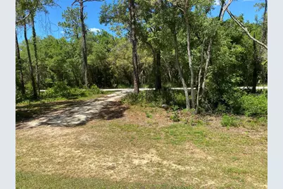 36064 Butternut Drive, Ridge Manor Estates, FL 33597 - Photo 31