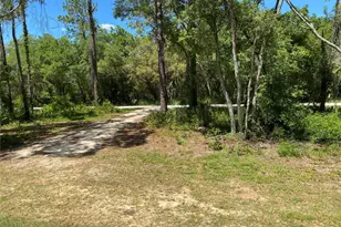 36064 Butternut Dr, Ridge Manor Estates, FL 33597 - Photo 31