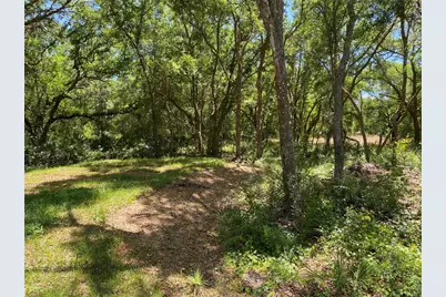 36064 Butternut Drive, Ridge Manor Estates, FL 33597 - Photo 29