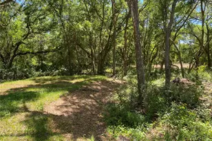 36064 Butternut Dr, Ridge Manor Estates, FL 33597 - Photo 29