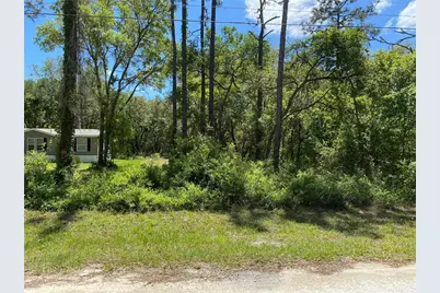 36064 Butternut Drive, Ridge Manor Estates, FL 33597 - Photo 5