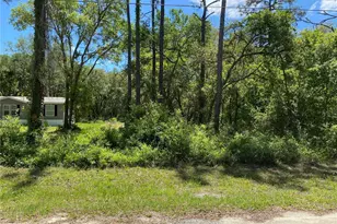 36064 Butternut Dr, Ridge Manor Estates, FL 33597 - Photo 5