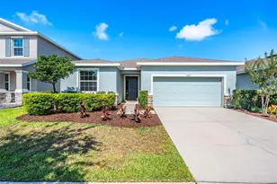 16619 Goose Ribbon Pl, Wimauma, FL 33598 - Photo 1