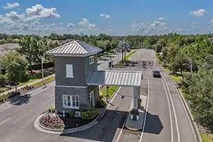 16619 Goose Ribbon Pl, Wimauma, FL 33598 - Photo 37
